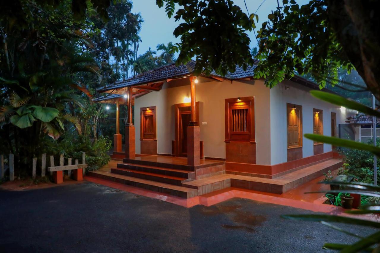 Kudajadri Drizzle *