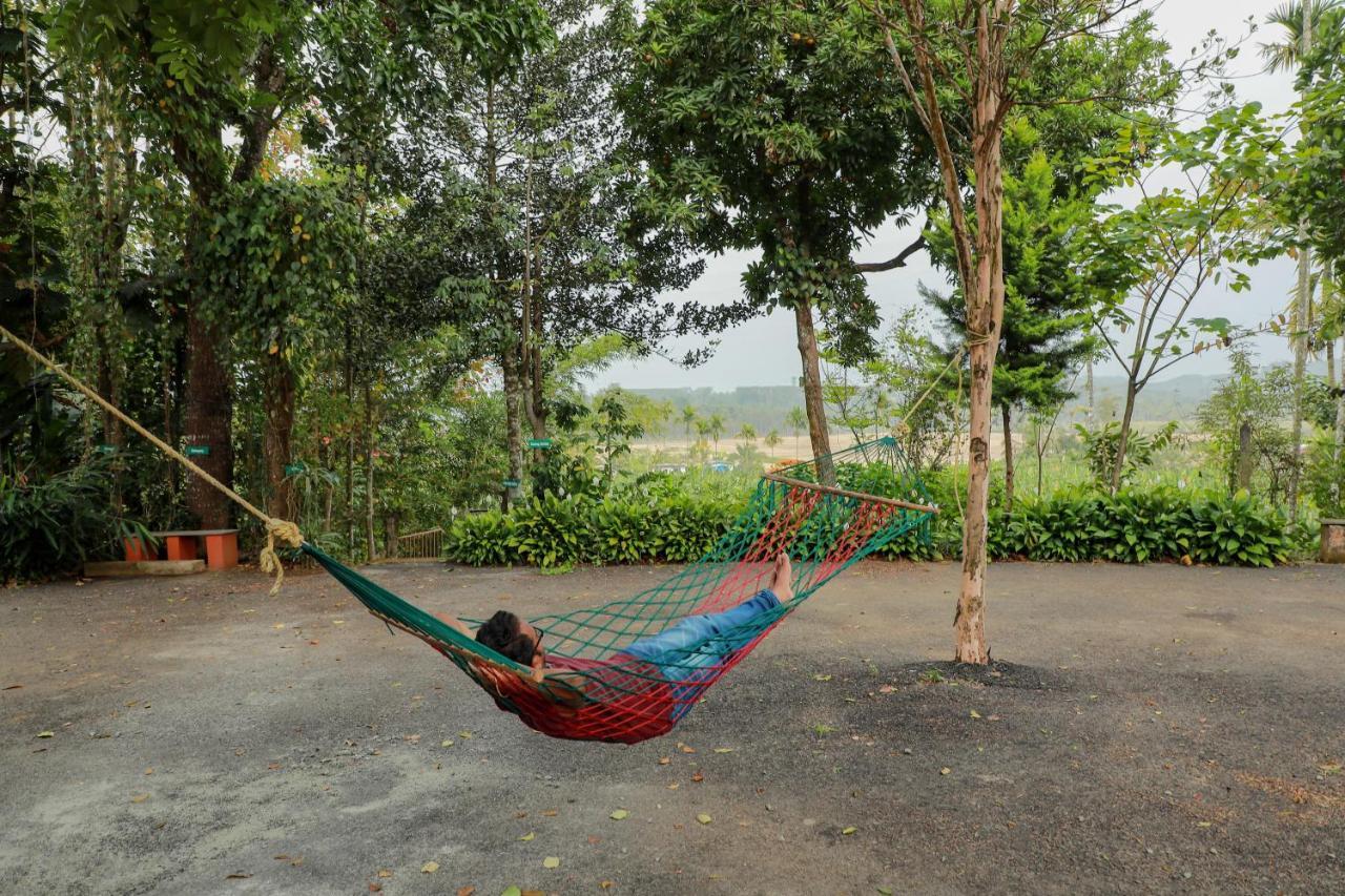 Homestay Kudajadri Drizzle Kaniyambetta