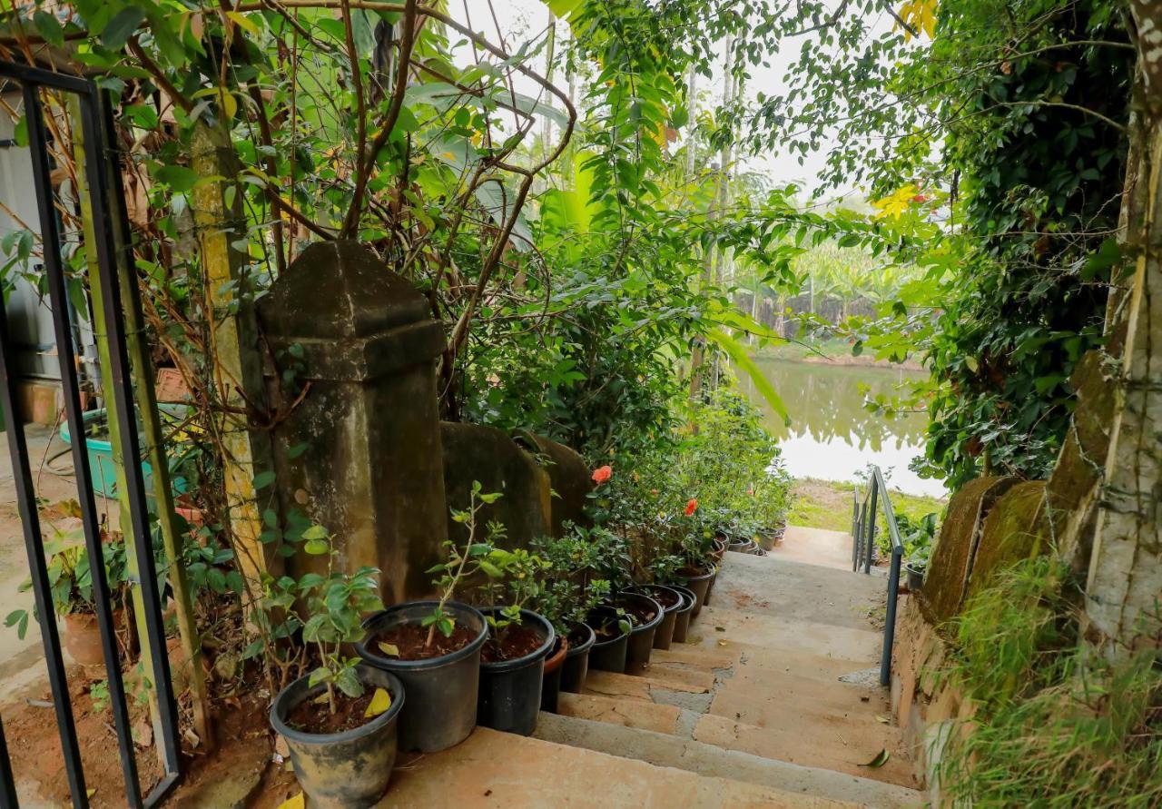 Homestay Kudajadri Drizzle