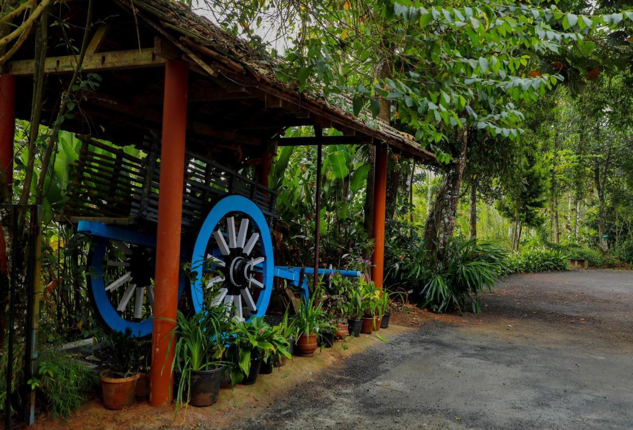 Kudajadri Drizzle Kaniyambetta