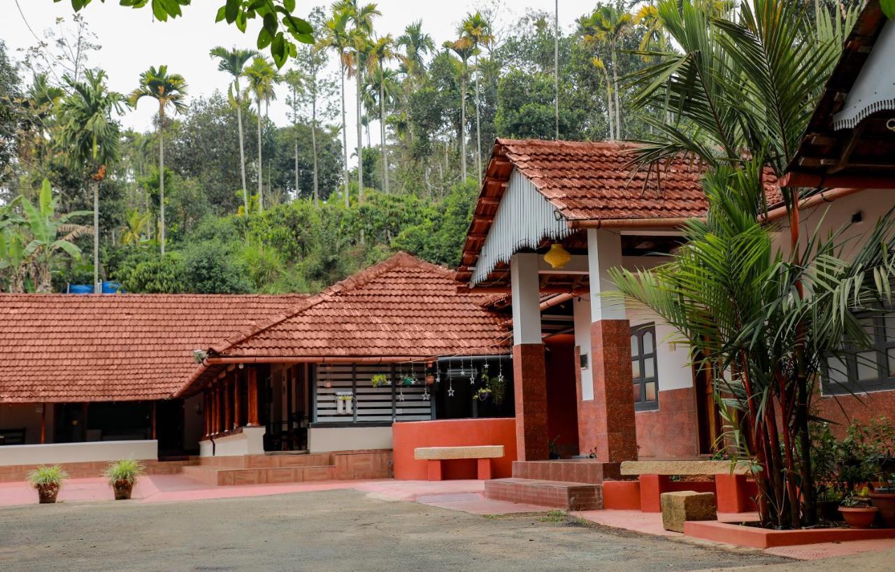 Kudajadri Drizzle