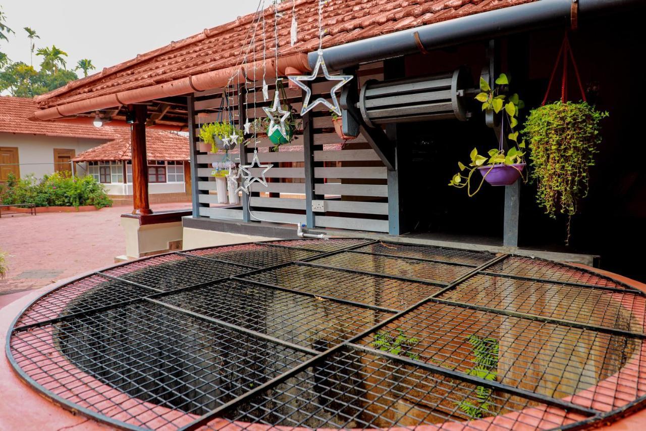 Kudajadri Drizzle Kaniyambetta