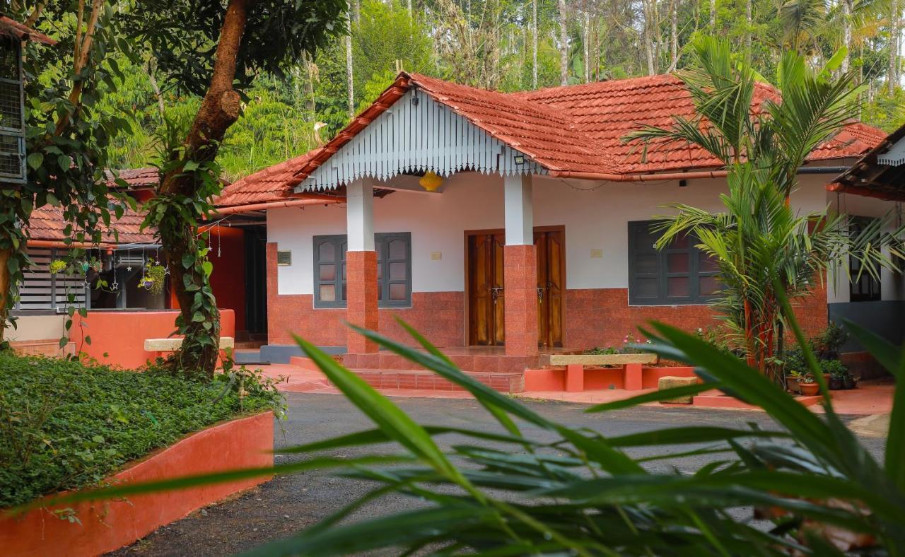 Kudajadri Drizzle Kaniyambetta