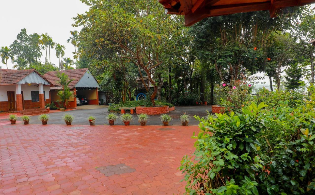 Kudajadri Drizzle *
