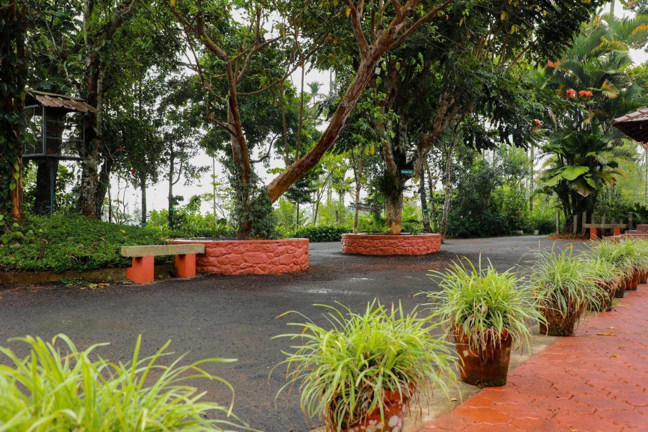 Kudajadri Drizzle *
