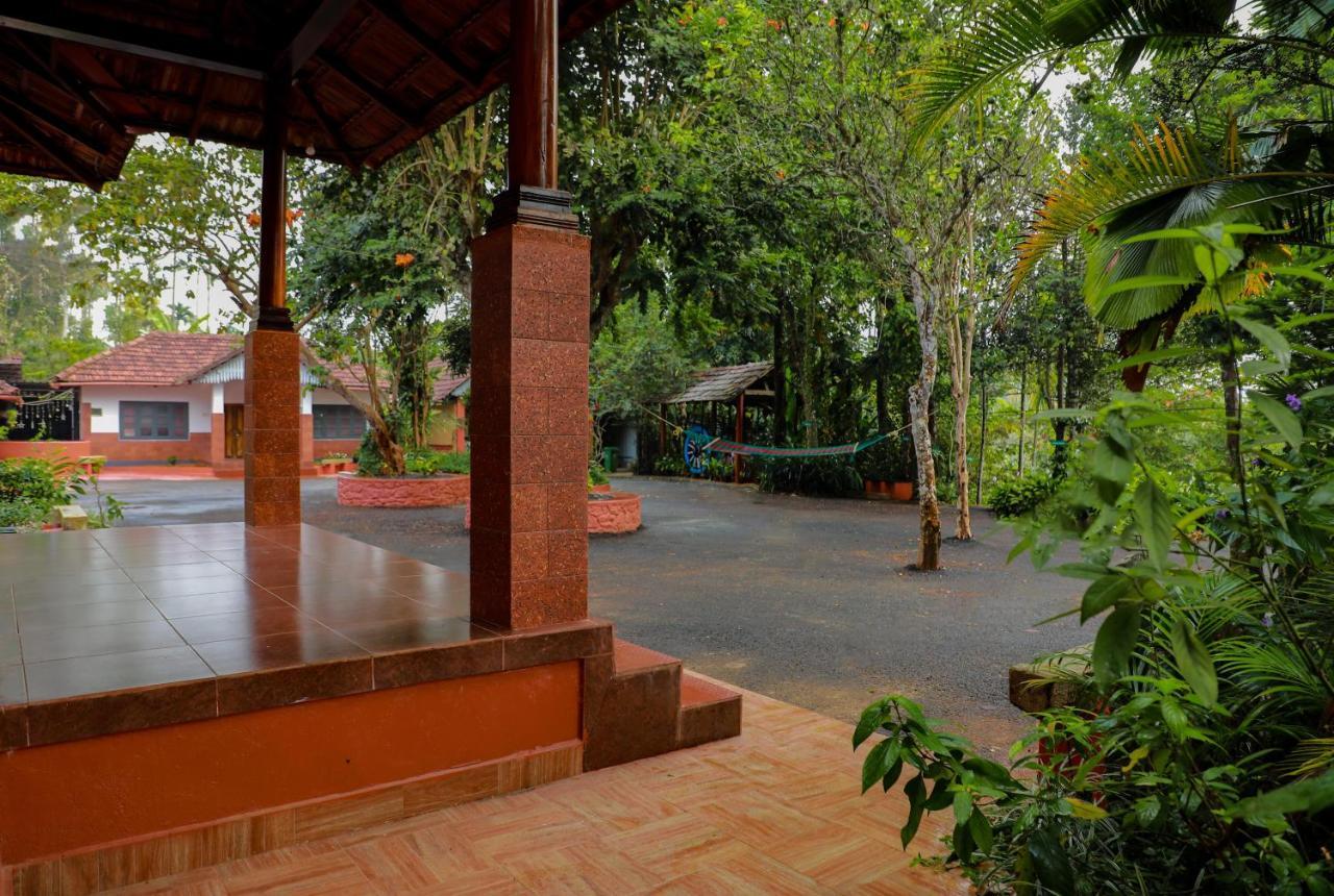 Homestay Kudajadri Drizzle *