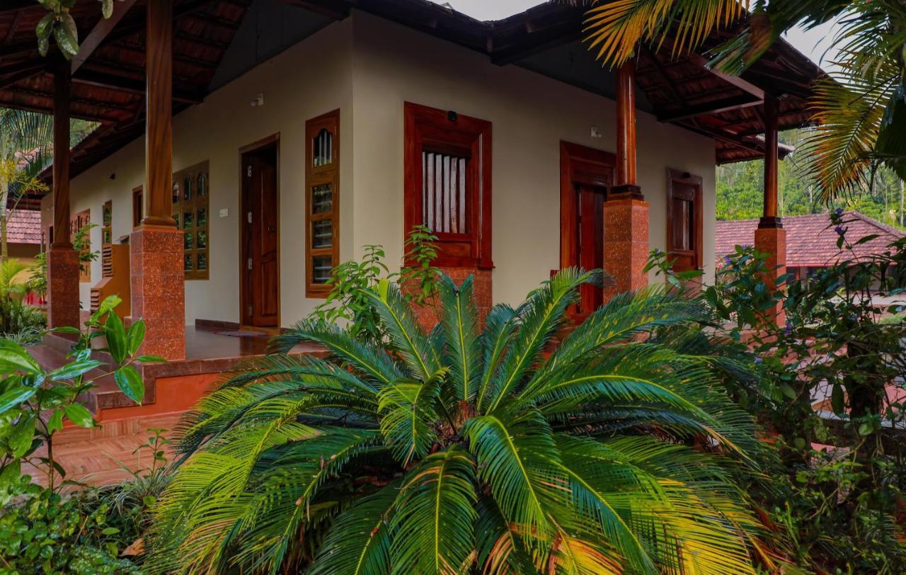 Homestay Kudajadri Drizzle