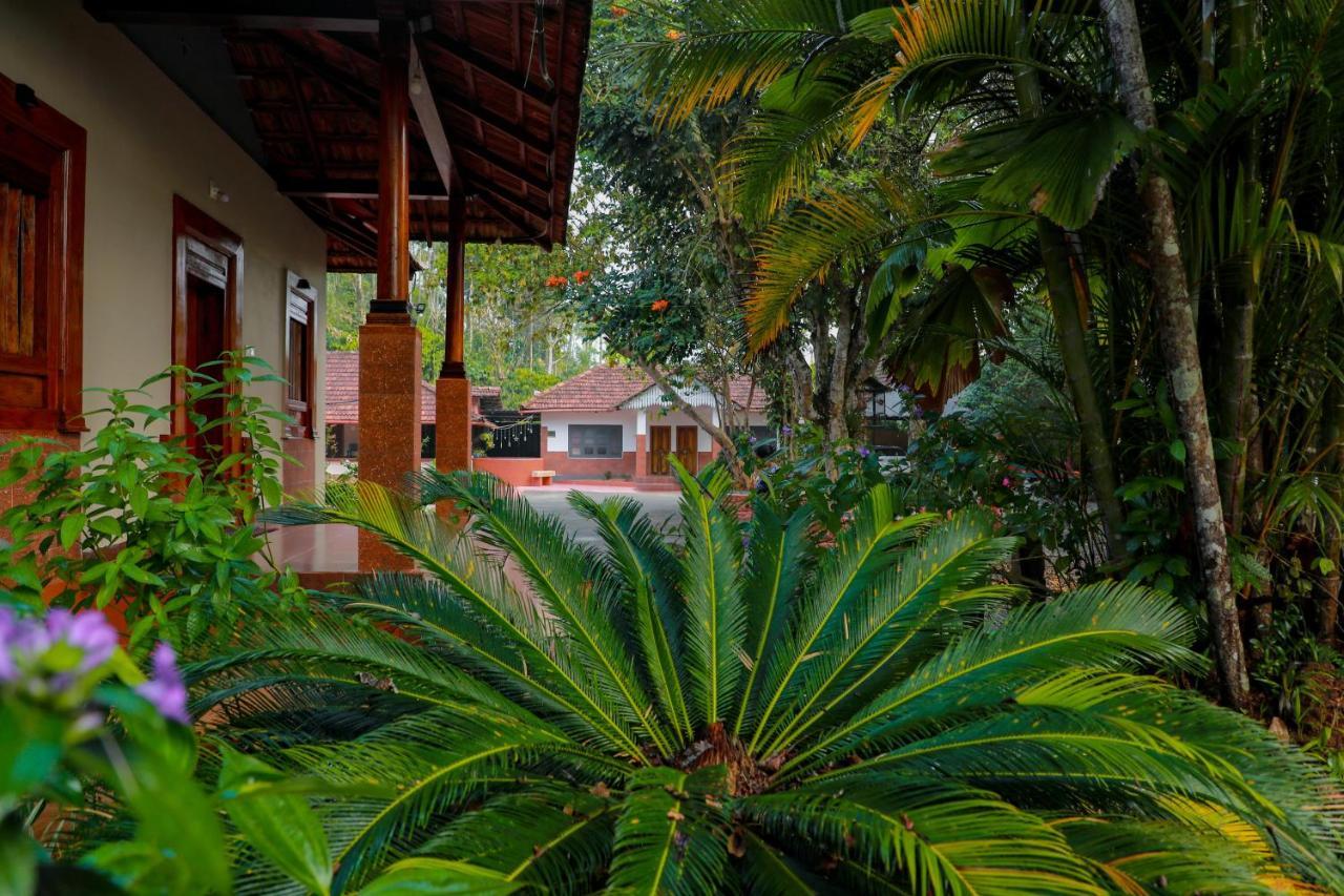 Kudajadri Drizzle Kaniyambetta