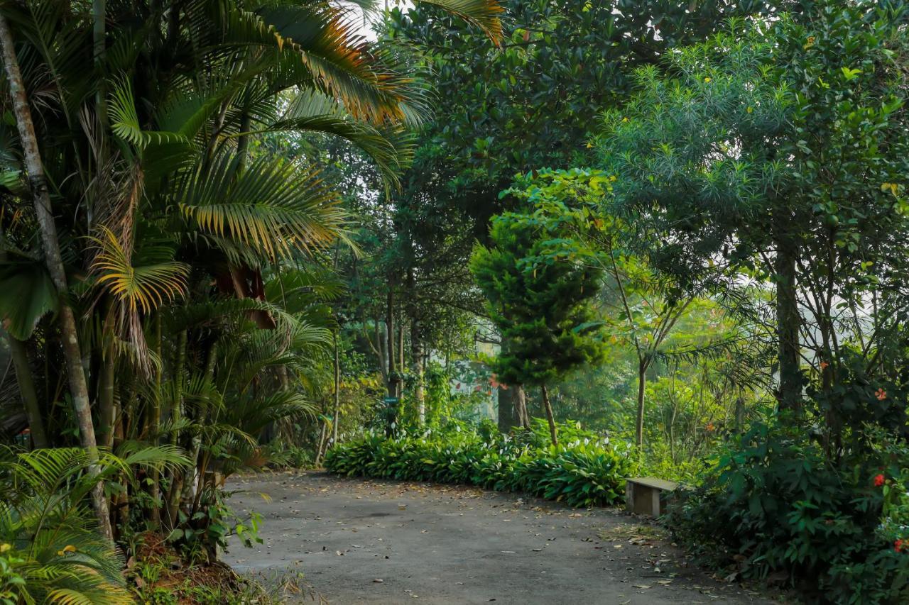 Kudajadri Drizzle Homestay