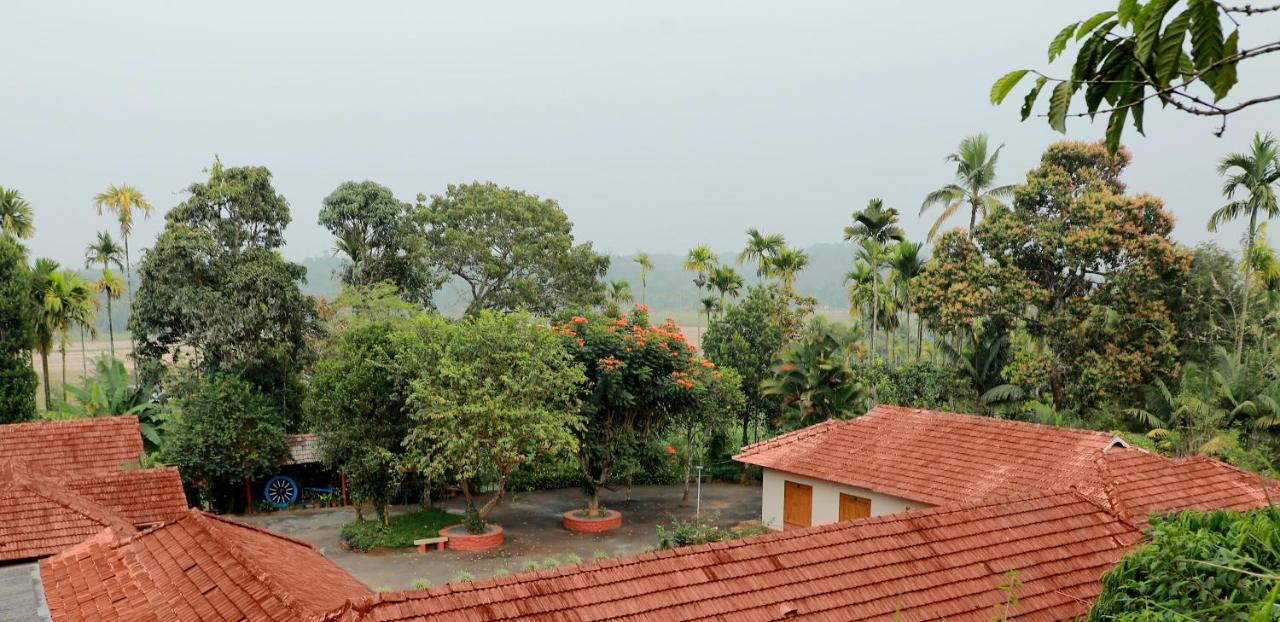 Kudajadri Drizzle * Kaniyambetta