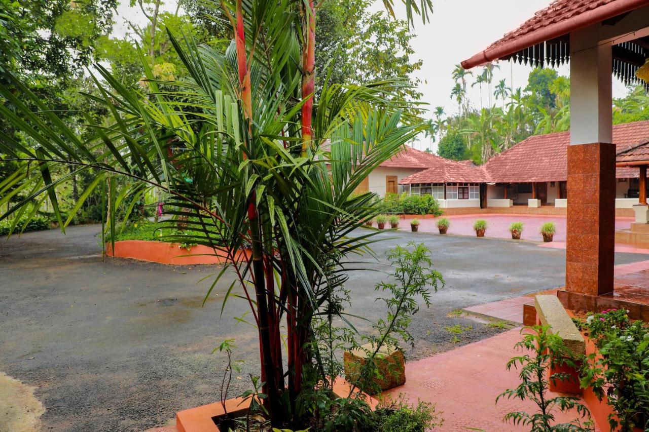 Kudajadri Drizzle * Kaniyambetta