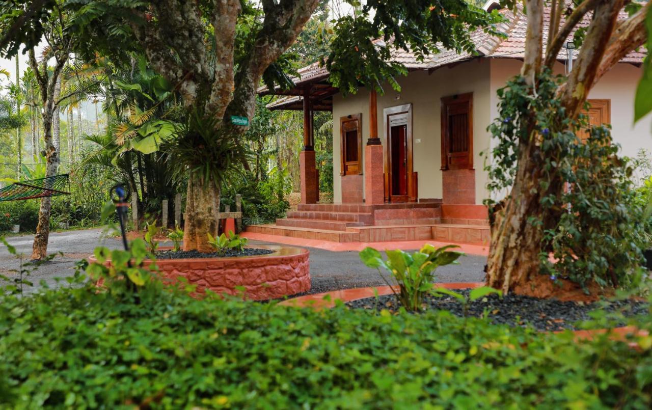 Kudajadri Drizzle Kaniyambetta